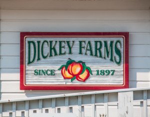 Dickey Farms
